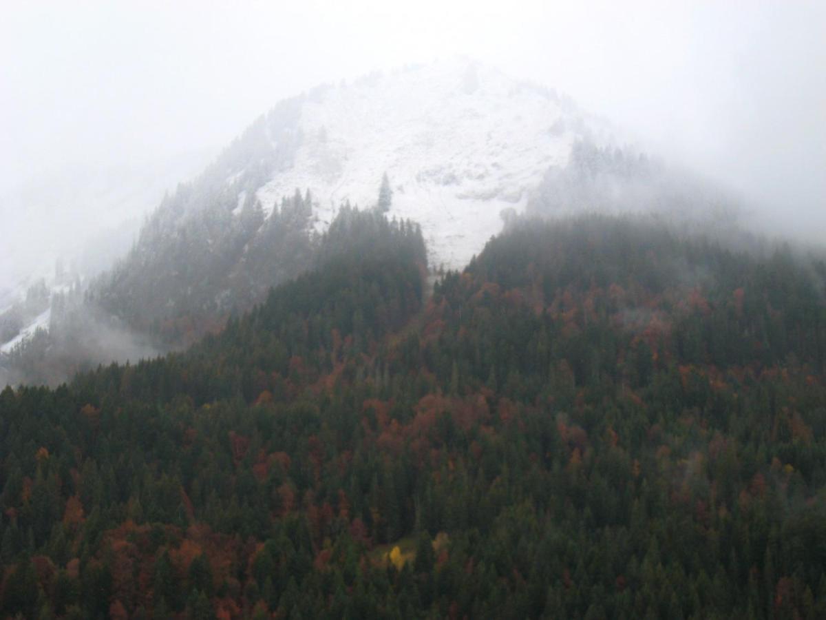 Appartement Au Pied Des Pistes, Avec Vue Sur La Montagne 贝尔内 外观 照片