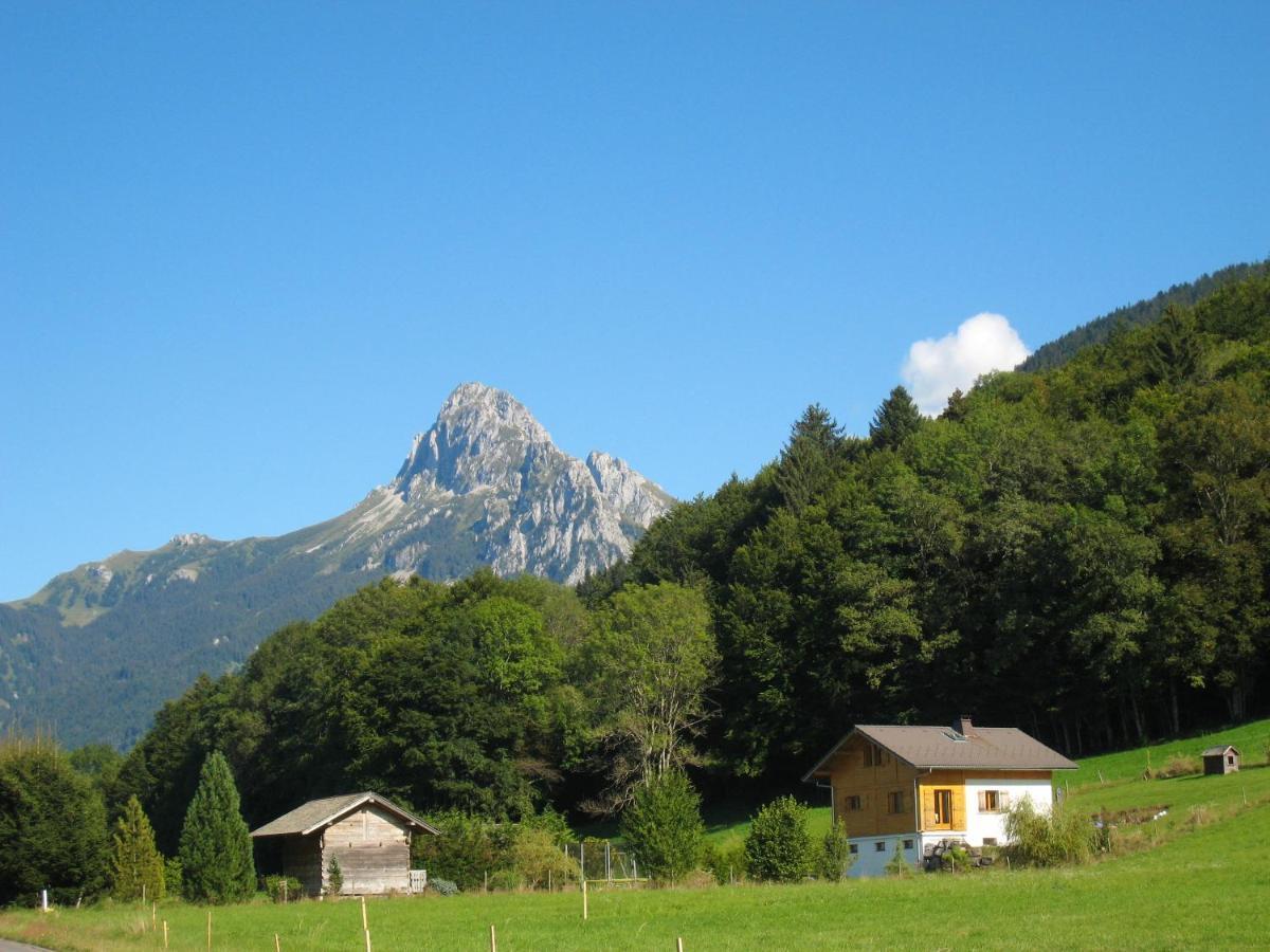 Appartement Au Pied Des Pistes, Avec Vue Sur La Montagne 贝尔内 外观 照片